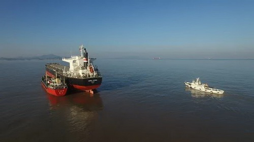 زيت الوقود البحري