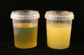 نقطة التجمد