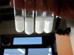 بوينت سحابة